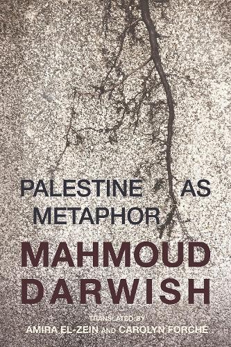 Mahmoud Darwish Amira El-Zein Palestine as Metaphor (Tascabile)