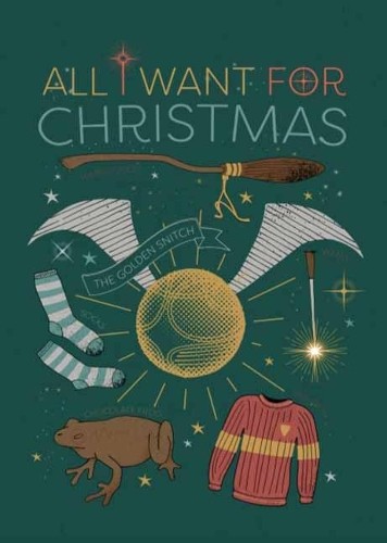 Harry Potter: All I Want For Christmas Embellished Card (Cards)