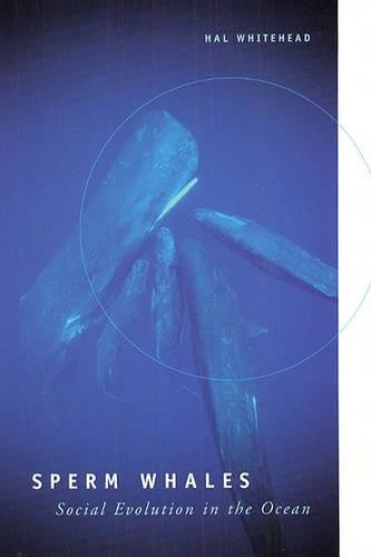 Hal Whitehead Sperm Whales (Tascabile)