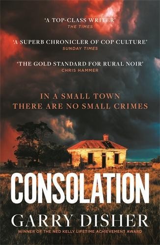Consolation: Constable Hirsch Mysteries 3 (Paul Hirsch mysteries The)
