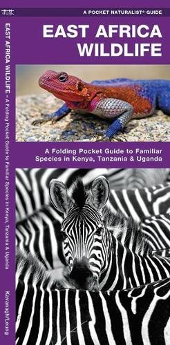 Waterford Press James Kavanagh East Africa Wildlife (opuscolo)