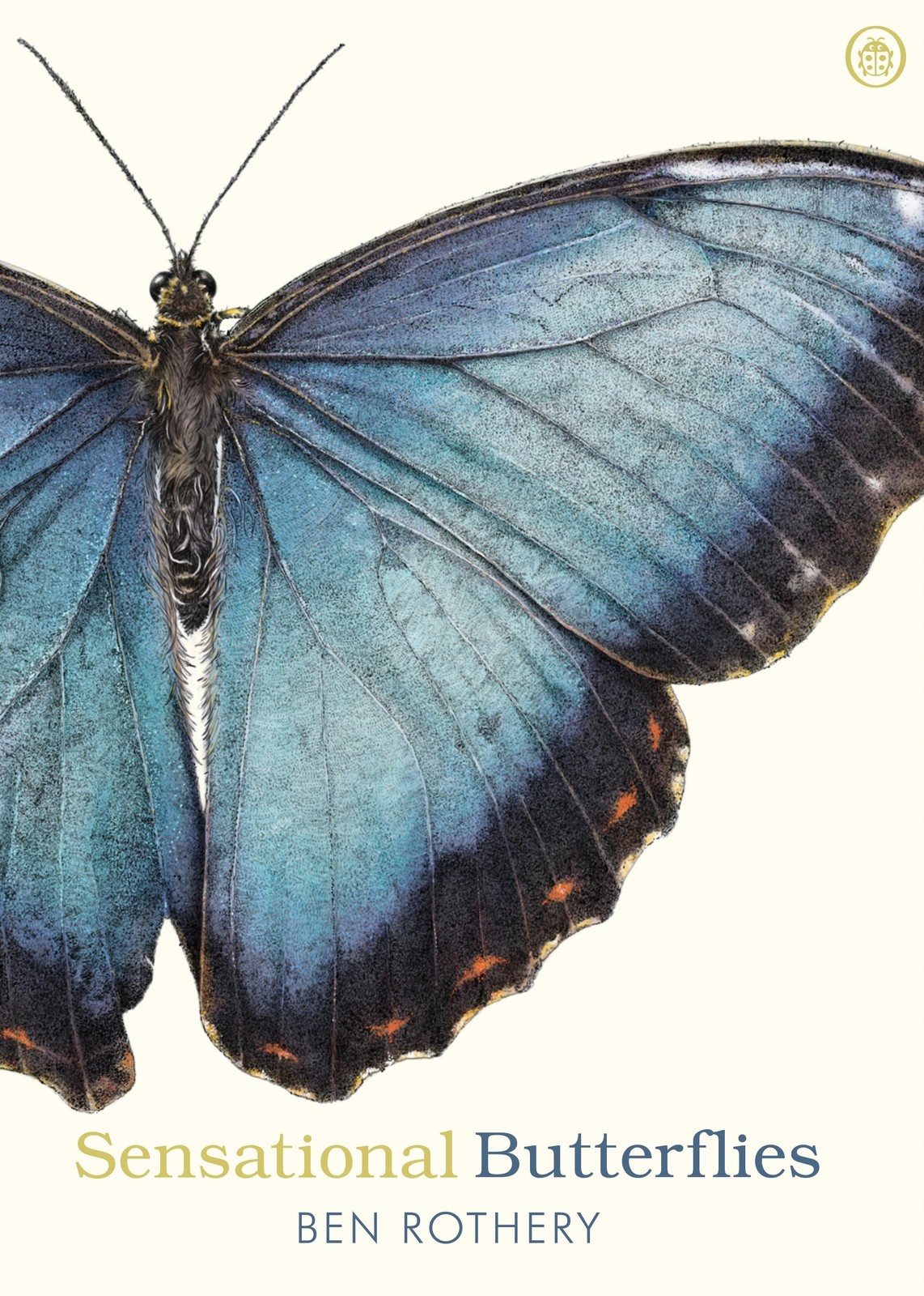 Ben Rothery Sensational Butterflies (Tascabile)