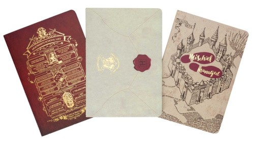 Harry Potter: Welcome to Hogwarts Planner Notebook Collection (Set of 3):