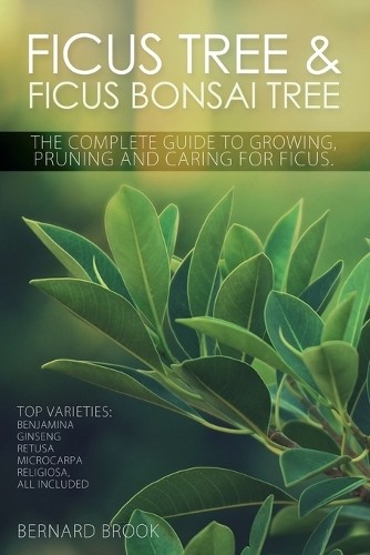 Bernard Brook Ficus Tree and Ficus Bonsai Tree - The Complete Guide  (Tascabile)