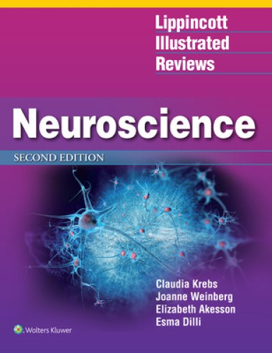 Lippincott Illustrated Reviews: Neuroscience (Lippincott Illustrated Reviews