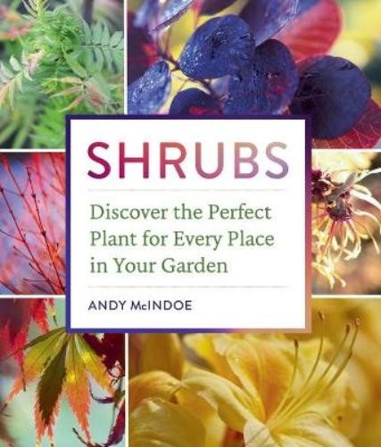 Andy McIndoe Shrubs (Copertina rigida)