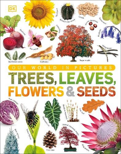 Our World in Pictures: Trees, Leaves, Flowers & Seeds (DK Our World in Pictures)