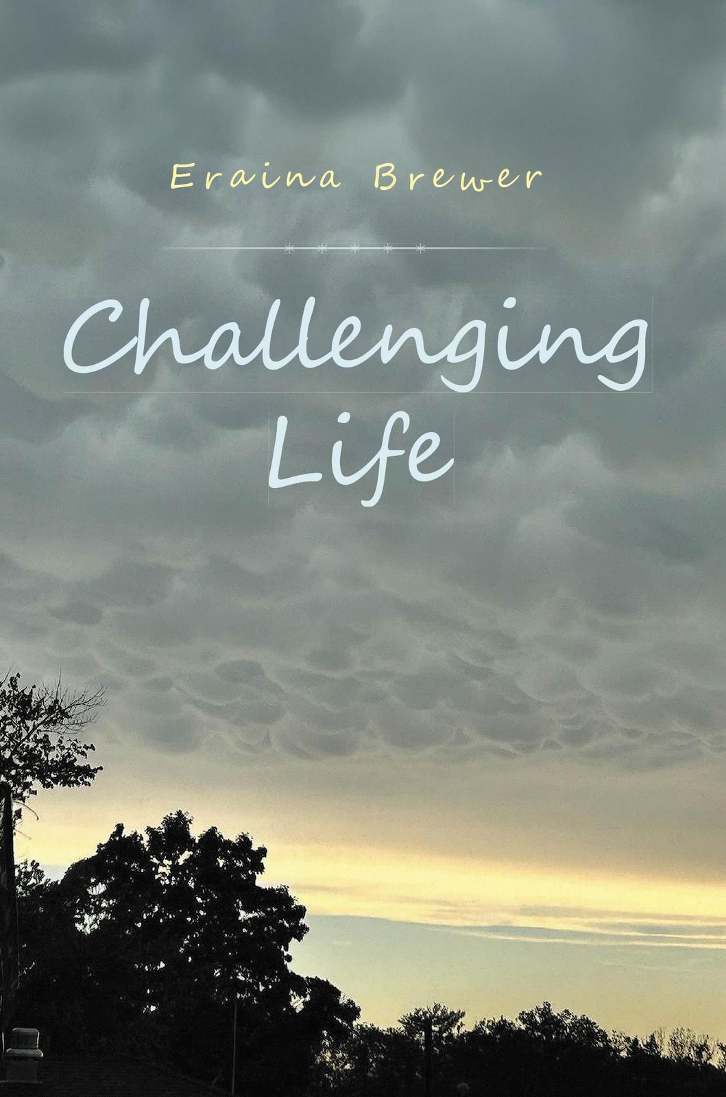 Eraina Brewer Challenging Life (Tascabile)