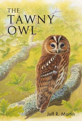 Jeff Martin The Tawny Owl (Tascabile) Poyser Monographs