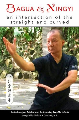 James Smith Dzehan Hong A. Pittman M. Brinkman Rober Bagua and Xingy (Tascabile)