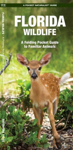 Florida Wildlife: A Folding Guide to Familiar Animals (Pocket Naturalist Guide