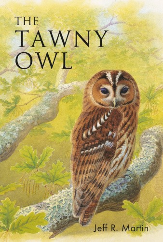 The Tawny Owl (Poyser Monographs) by Mr Jeff Martin [Paperback]