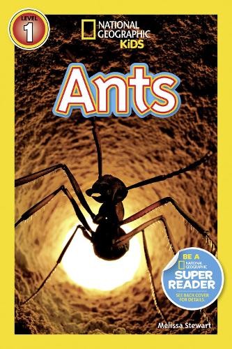 Melissa Stewart National Geographic Kids Readers: Ants (Tascabile)