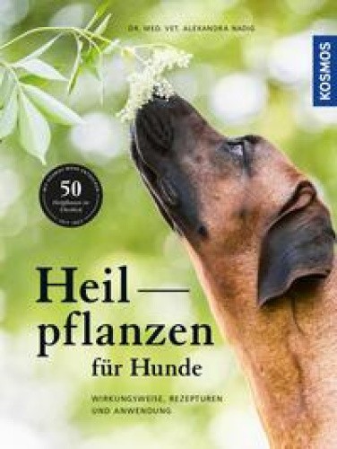 Heilpflanzen für Hunde [German] by Nadig, Alexandra [Hardback]