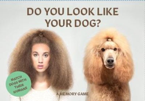 Do You Look Like Your Dog?: Match Dogs with Their Humans: A Memory Game [Cards]