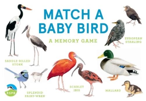 Mike Unwin Match a Baby Bird (Cards)