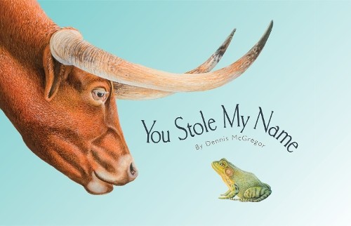 Dennis Mcgregor You Stole My Name (Copertina rigida) You Stole My Name Series