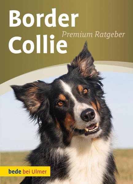 Annette Schmitt Border Collie (Tascabile)