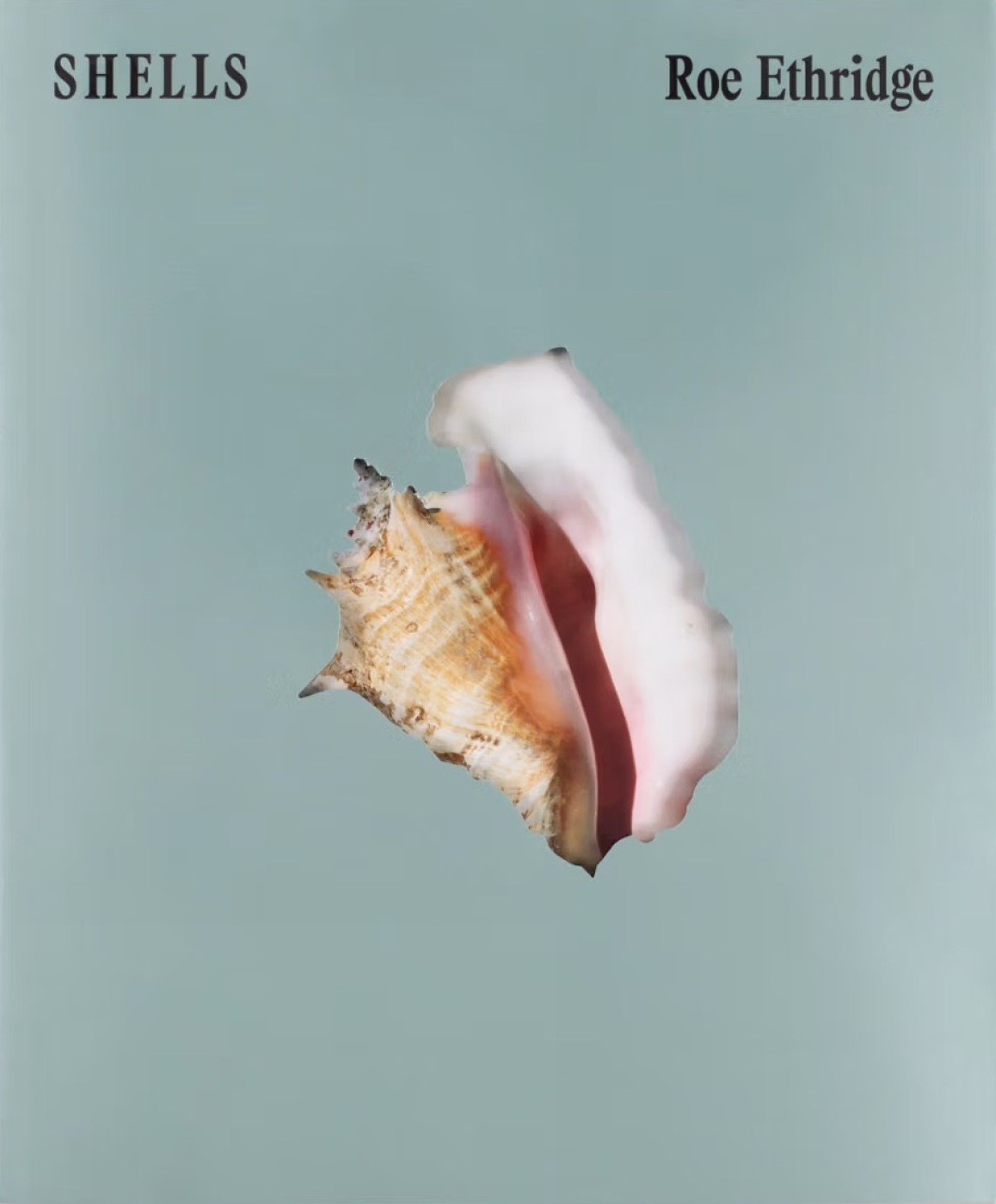 Roe Ethridge SHELLS (Tascabile)