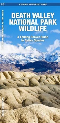 Death Valley National Park Wildlife (Wildlife and Nature Identification)