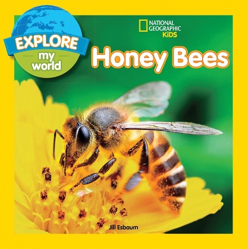 Jill Esbaum Explore My World: Honey Bees (Tascabile) Explore My World
