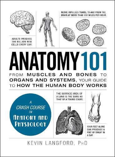 Kevin Langford Anatomy 101 (Copertina rigida) Adams 101 Series