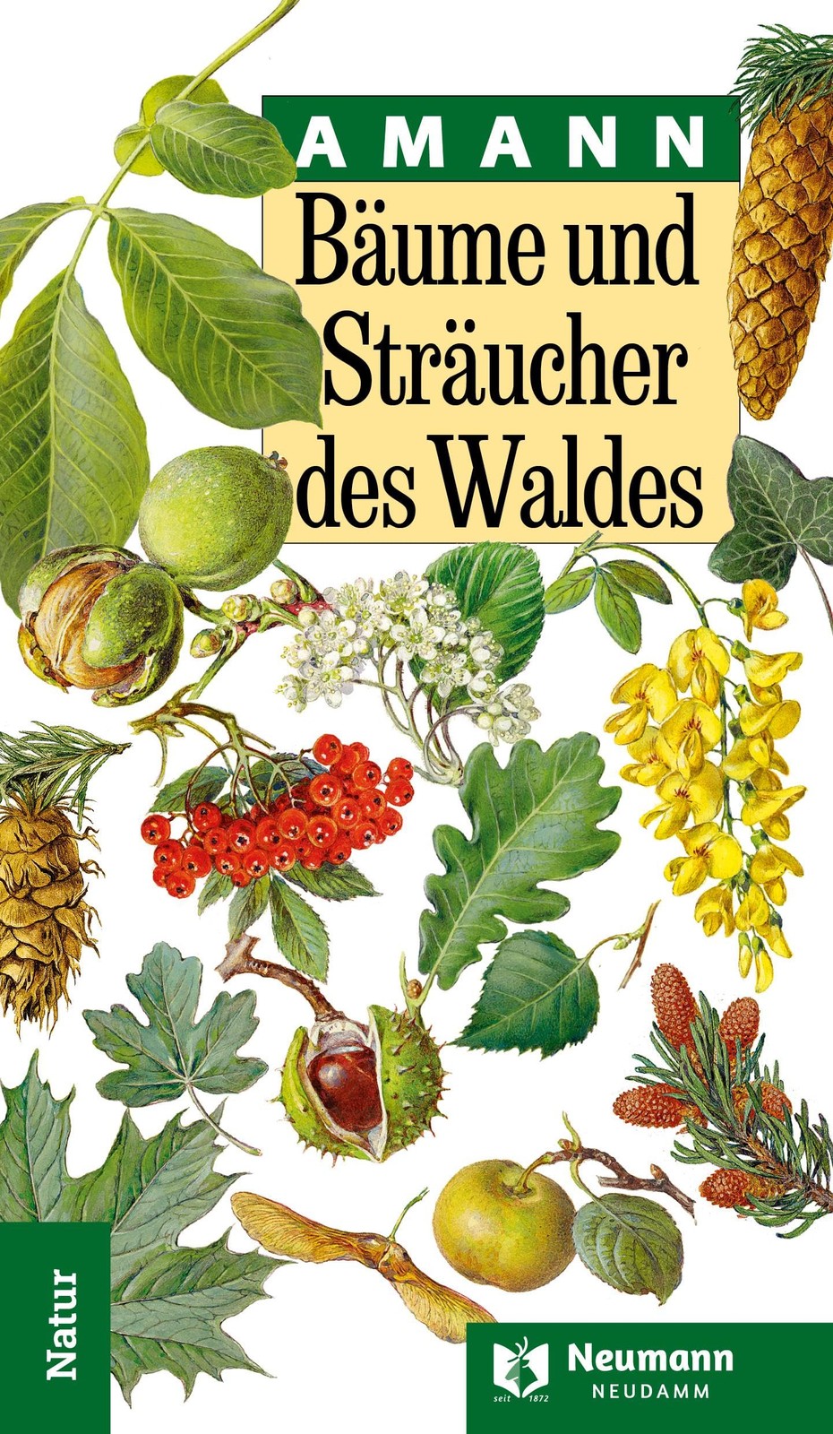 Gottfried Amann Bäume und Sträucher des Waldes (Copertina rigida)