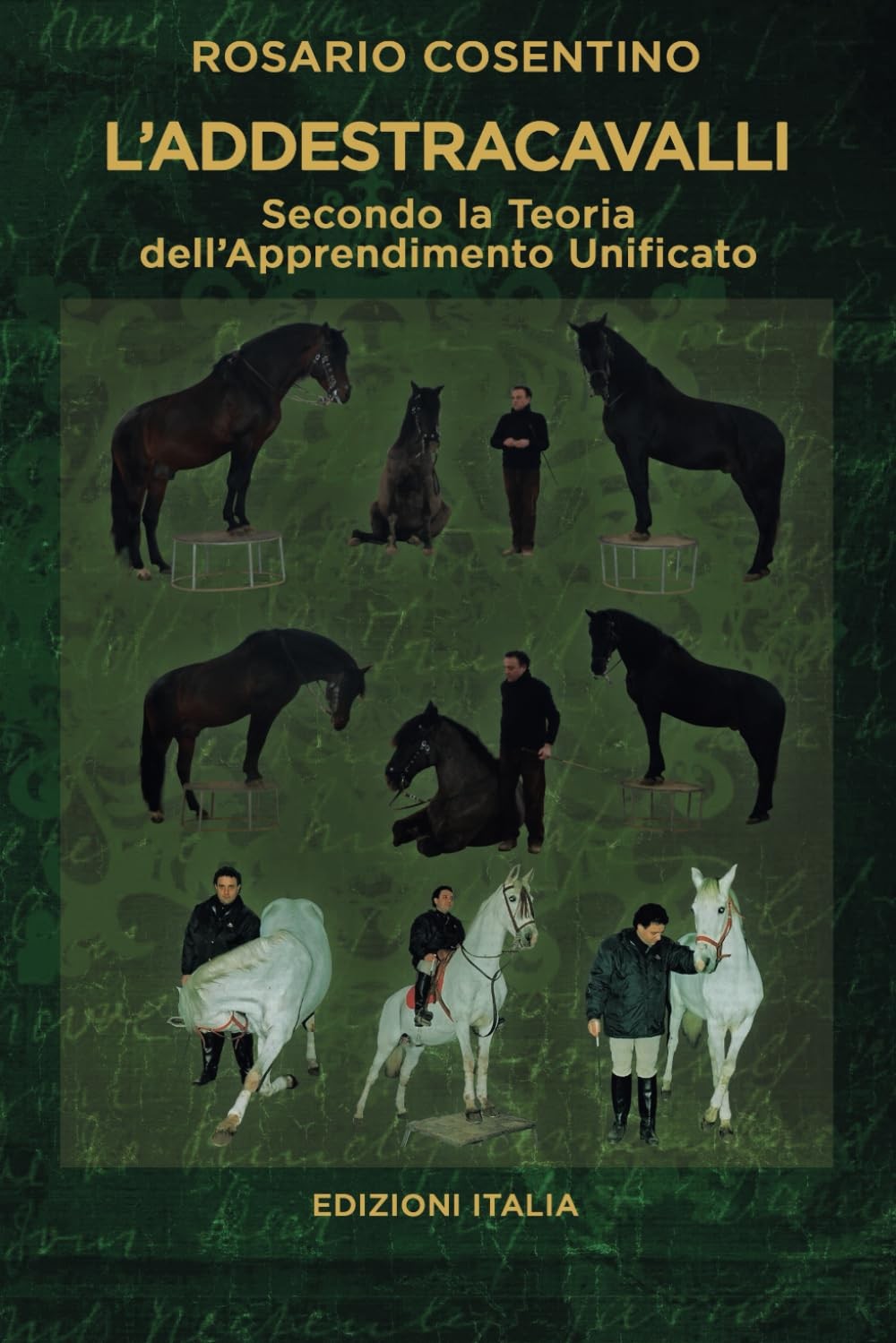 9788890478611 L'ADDESTRACAVALLI: Doma e Addestramento Cavalli - Rosario Cosentin
