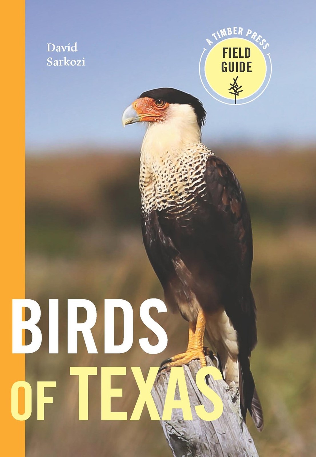 David Sarkozi Birds of Texas (Tascabile) (PRESALE 07/08/2025)