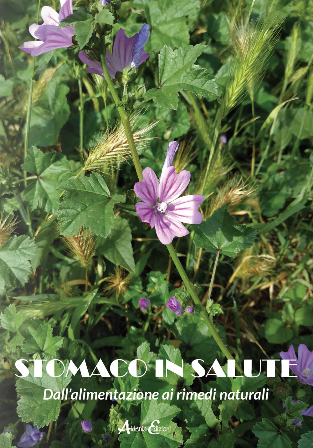 Stomaco in salute. Dall'alimentazione ai rimedi naturali - Cecchi L. (cur.)