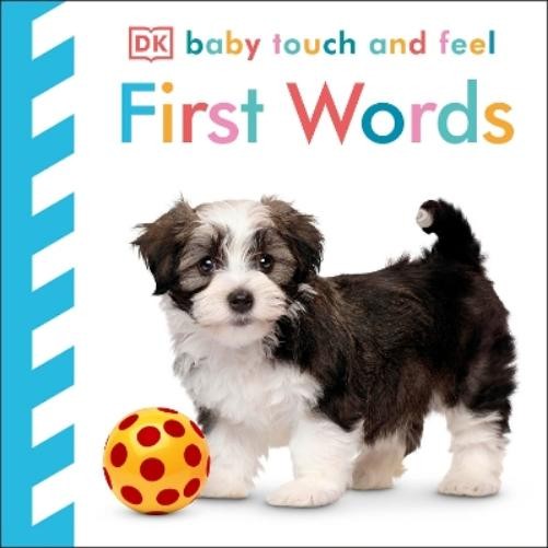 Baby Touch and Feel First Words (Libro di cartone) Baby Touch and Feel