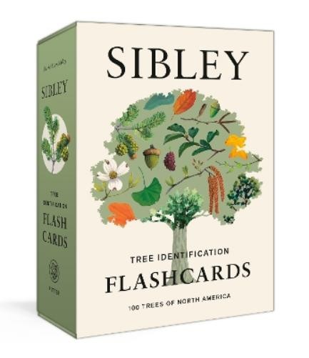 David Allen Sibley Sibley Tree Identification Flashcards (Cards)