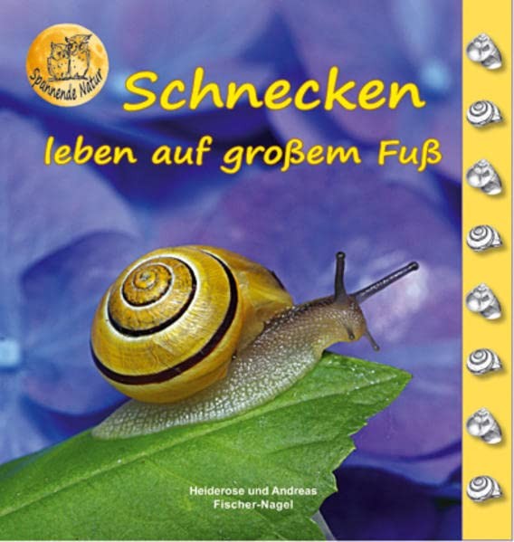 Heiderose Fischer-Nagel Andreas Fischer-Nagel Schnecken (Copertina rigida)