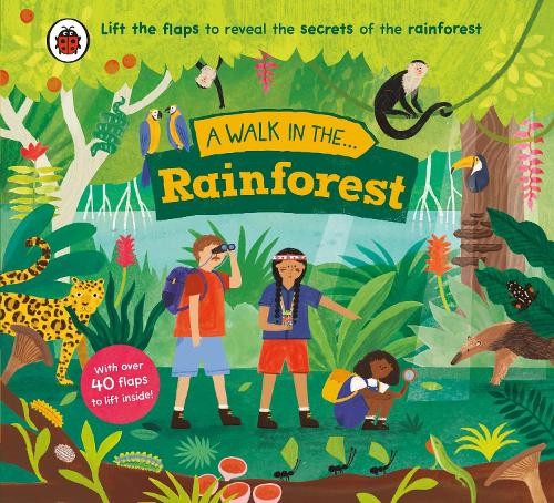 Nora Dare A Walk in the Rainforest (Libro di cartone) Walk in...