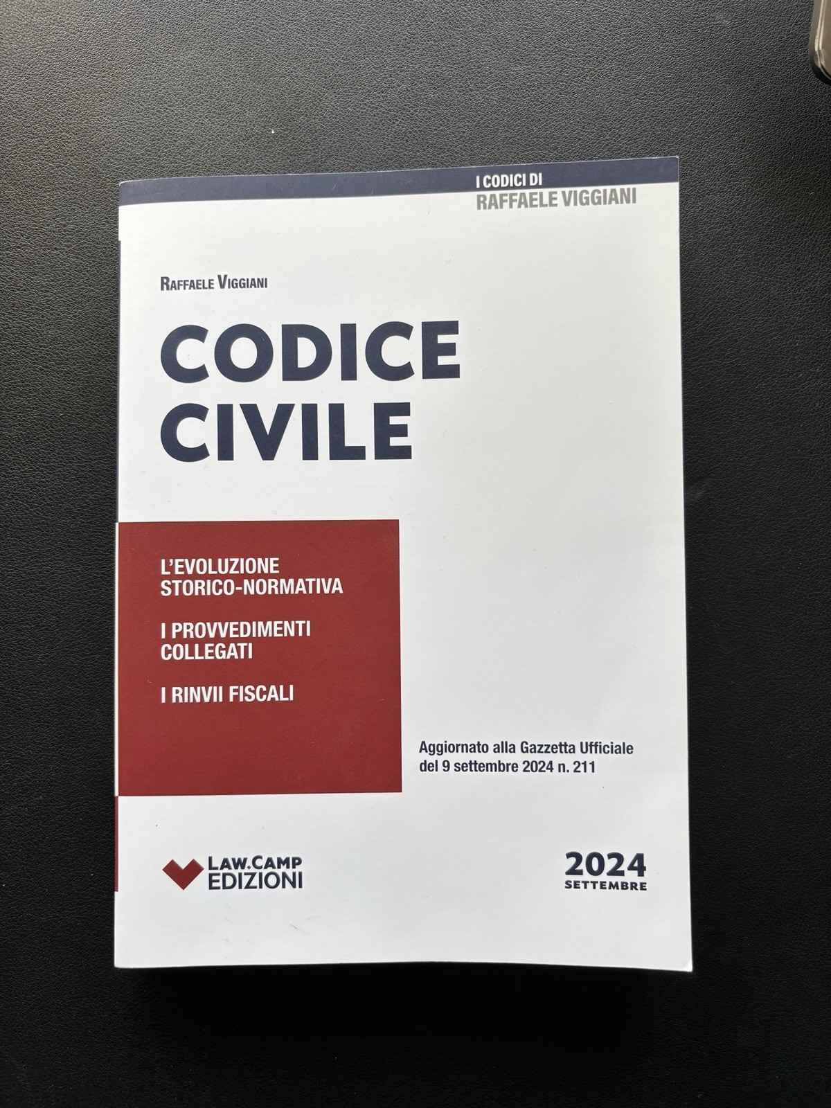 Codice Civile. Settembre 2024 Raffaele Viggiani Law Camp 2025