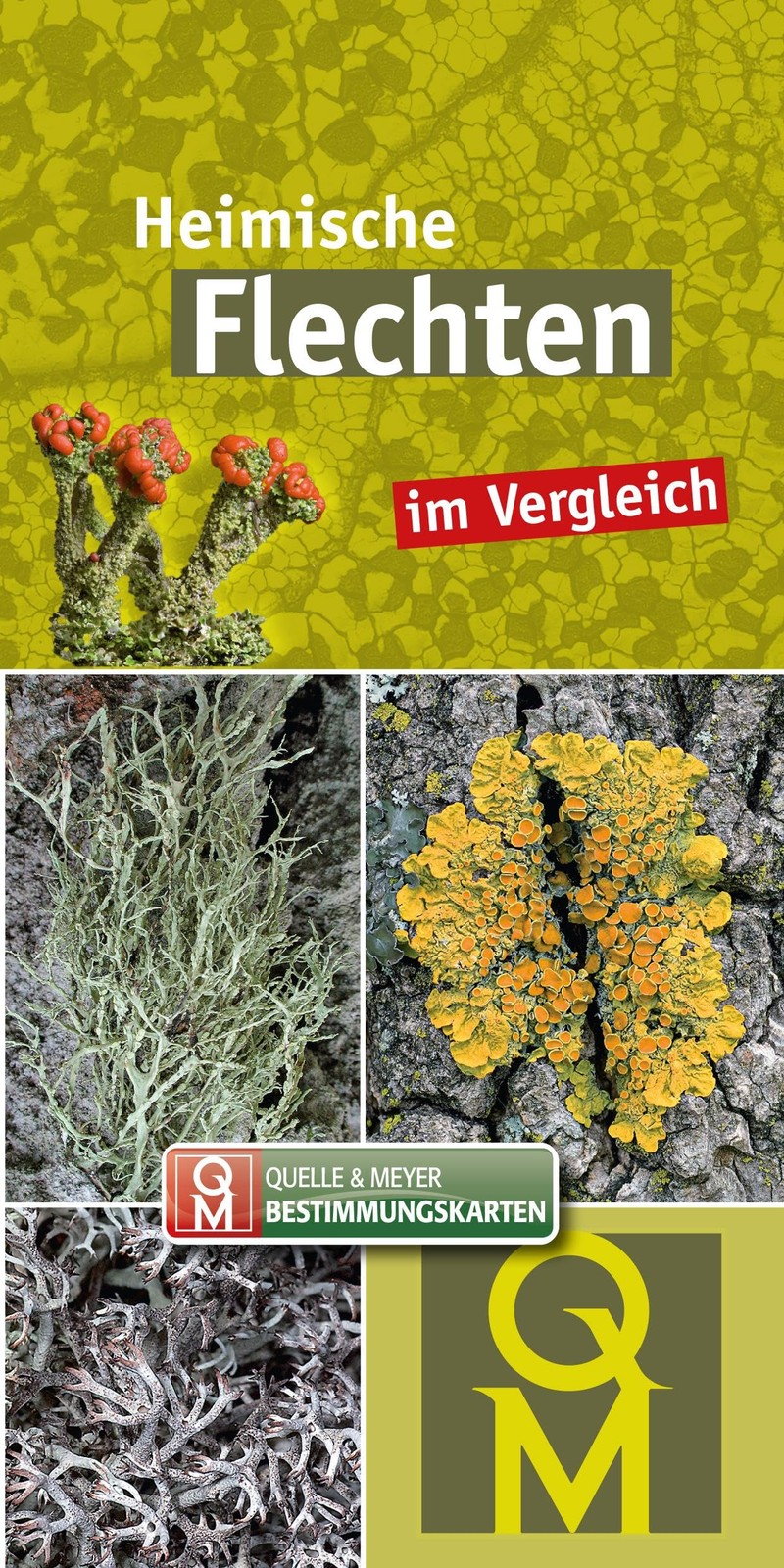 Quelle & Meyer  Heimische Flechten: im Vergleich (Quelle & Meyer Be (Ungebunden)