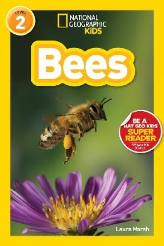 Laura Marsh Bees (National Geographic Kids Readers, Level 2) (Tascabile)