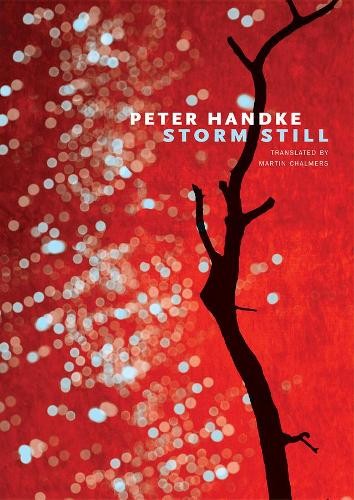 Peter Handke Storm Still (Tascabile) French List