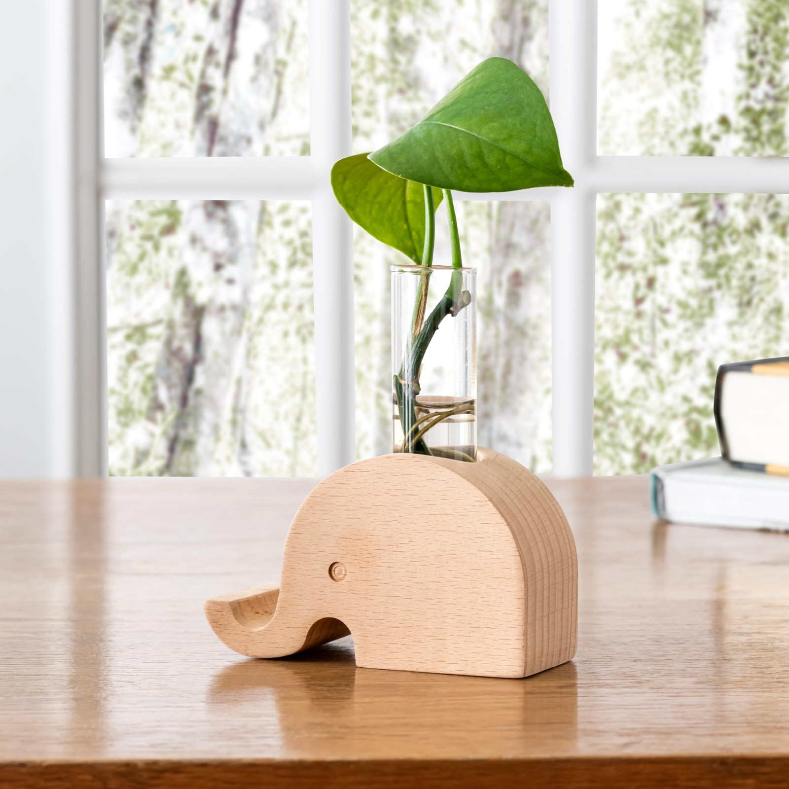 Elephant Propagation Vase (Vs01) NUOVO