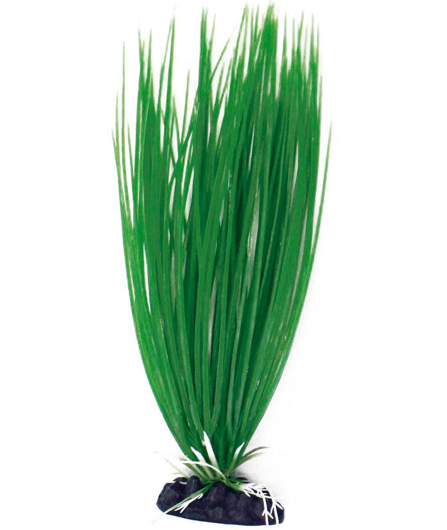 Decorazione piantina Acorus Amtra in plastica per acquari Amtra