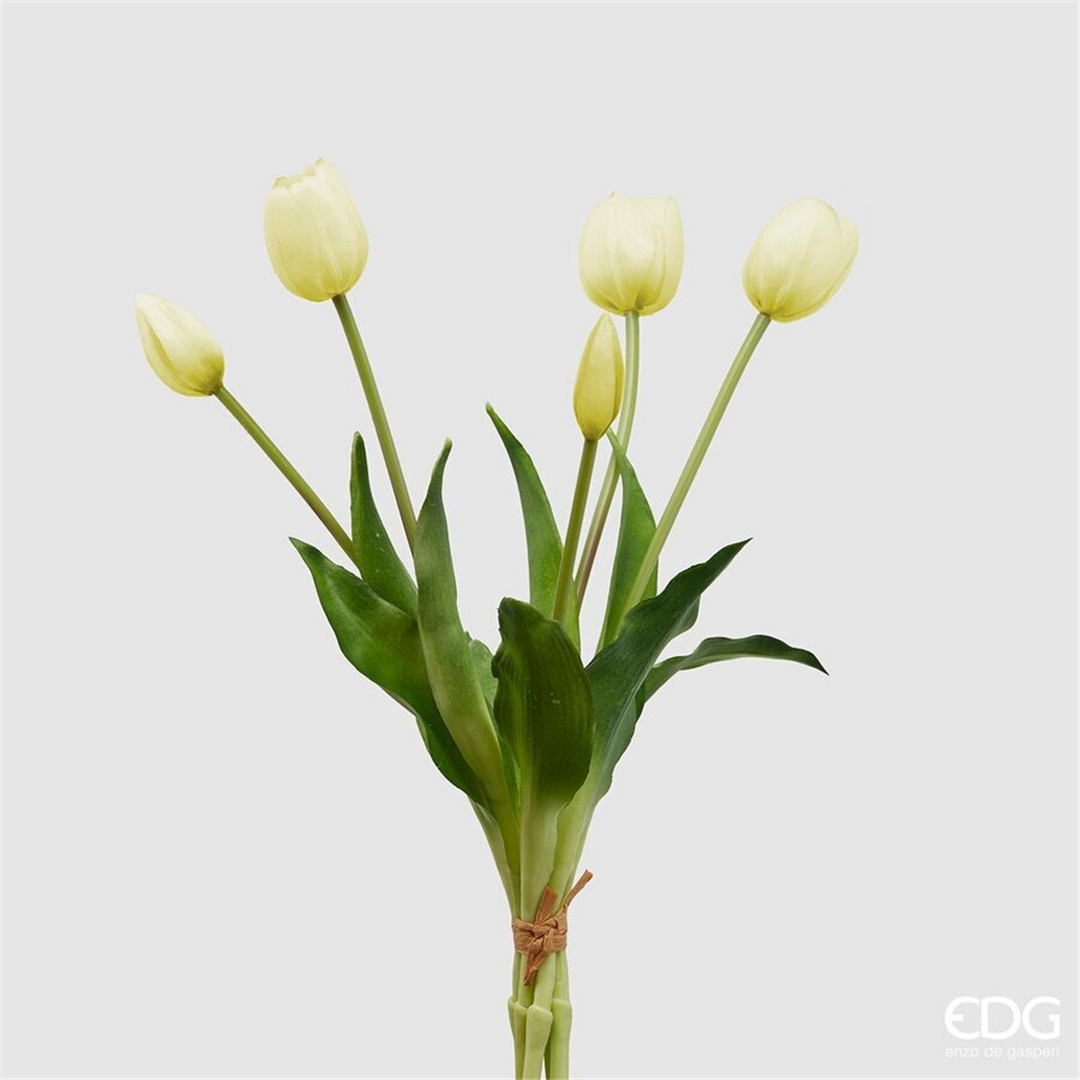 Tulipano Gomm. Olis Mazzo 5pz H. 40 Cm Bianco | Edg Di De Gasperi Luigi Enzo