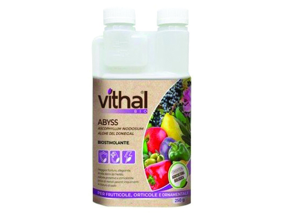 STIMOLANTE LIQUIDO ABYSS  ml.250    VITHAL