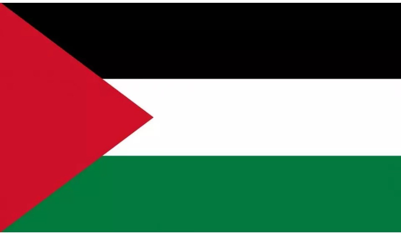 Bandiera Palestina cm 90 x 150 cm in Tessuto Poliestere - SPEDIZIONE GRATIS-