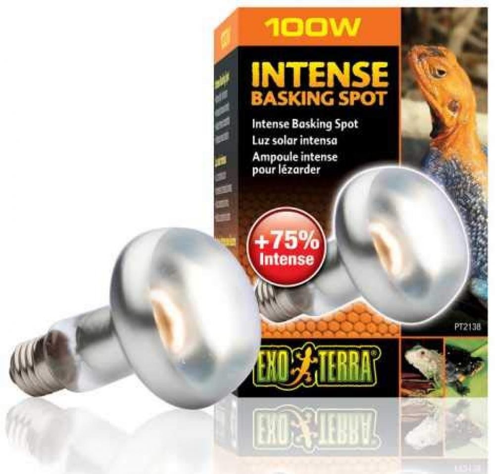 (TG. 100 Watt) Exo Terra Ex Intense Basking Spot R25/100W, 100 Watt - NUOVO