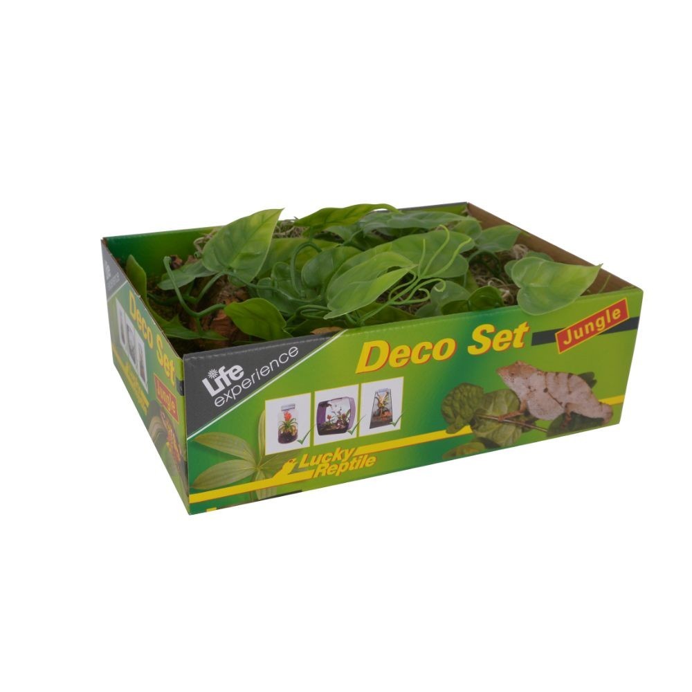 Lucky Reptile Life Experience Deco Set Jungle Decorazioni Terrari Tropicali