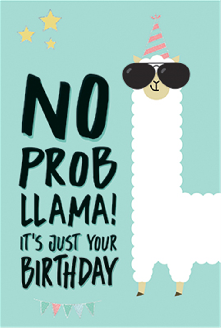 Biglietto Auguri  11.5x17cm No Problema | Legami