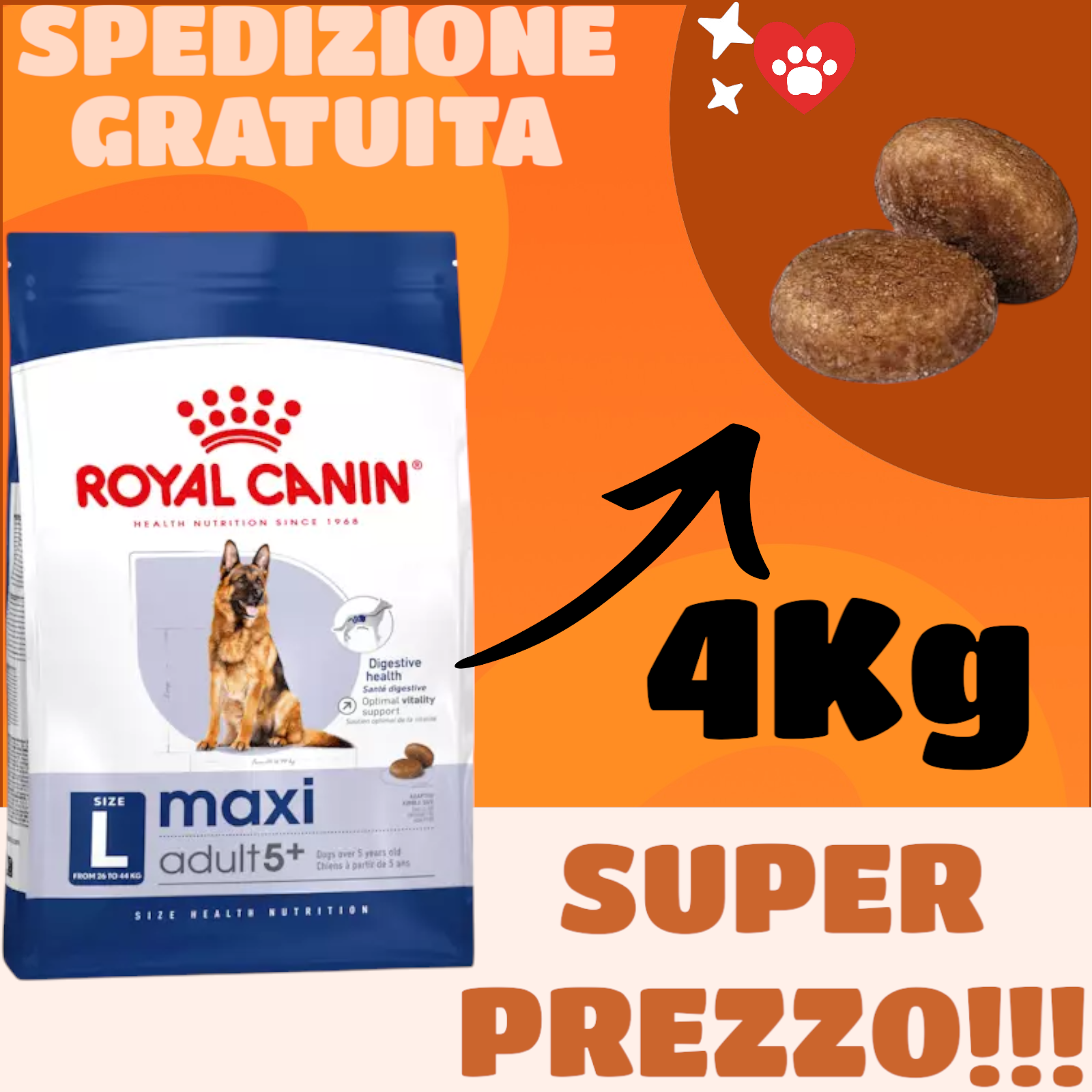 4 kg Royal Canin Maxi Adult 5+ cani maturi di taglia grande (tra 26 e 44 kg)