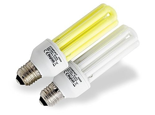 Lampade Antisetti Kit 20W 6500K+20We27 Antinsect ( BEGHELLI cod. 50955K )