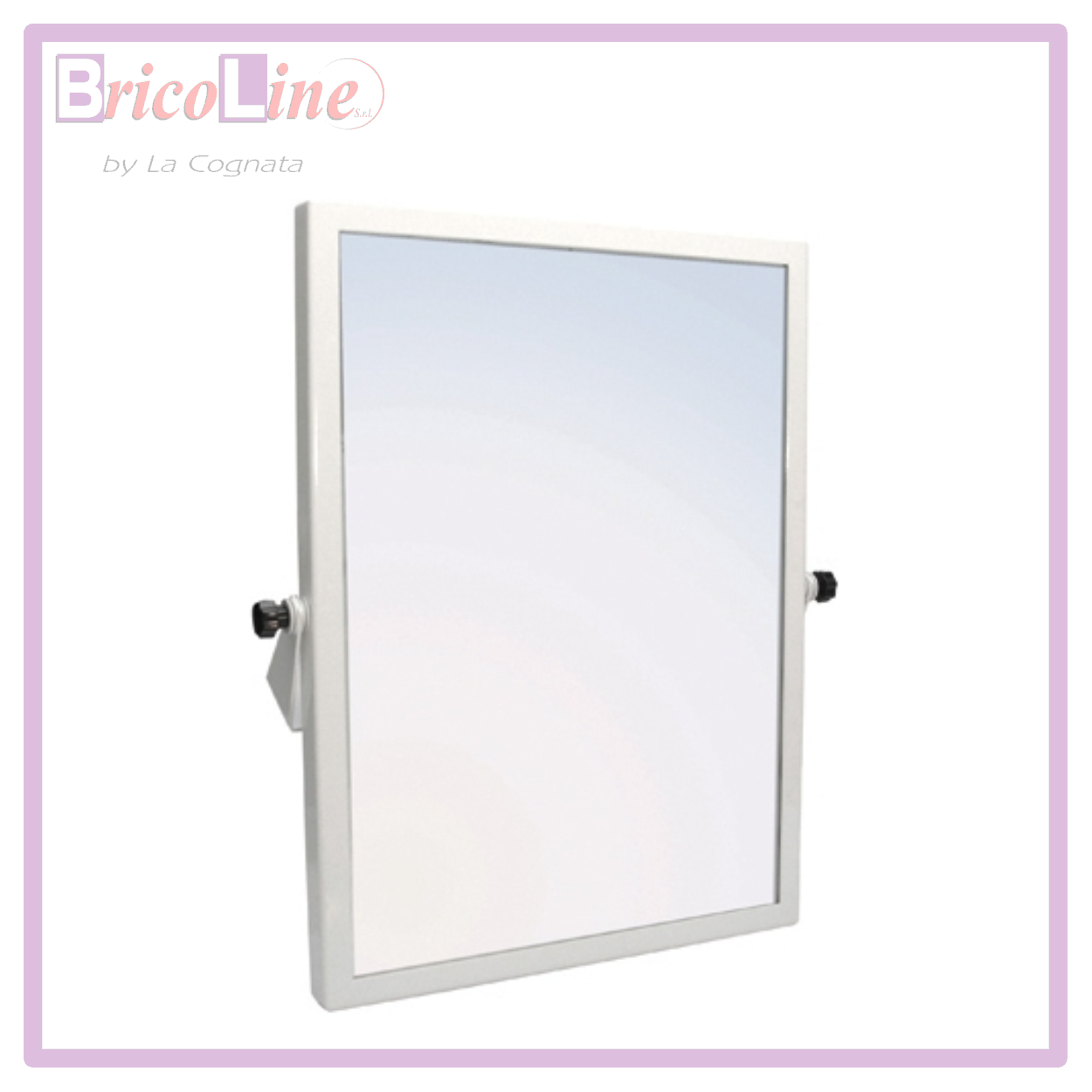 SPECCHIO RIBALTABILE PER DISABILI CM. 45X60