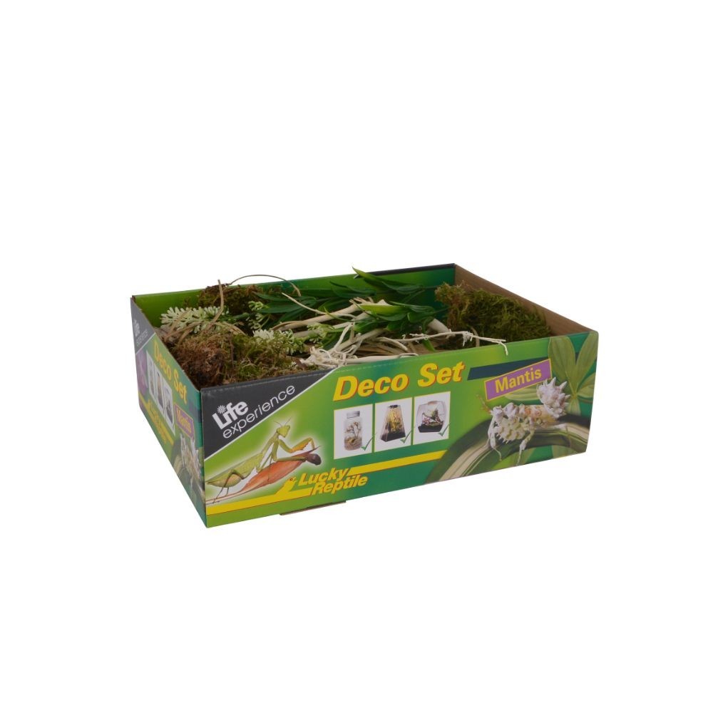 Lucky Reptile Life Experience Deco Set Mantis Decorazioni Insetti Tropicali